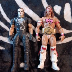 WWE Action Figures - Sting & Warrior 2-Pack