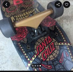 Santa cruz skate board