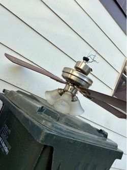 Ceiling fan