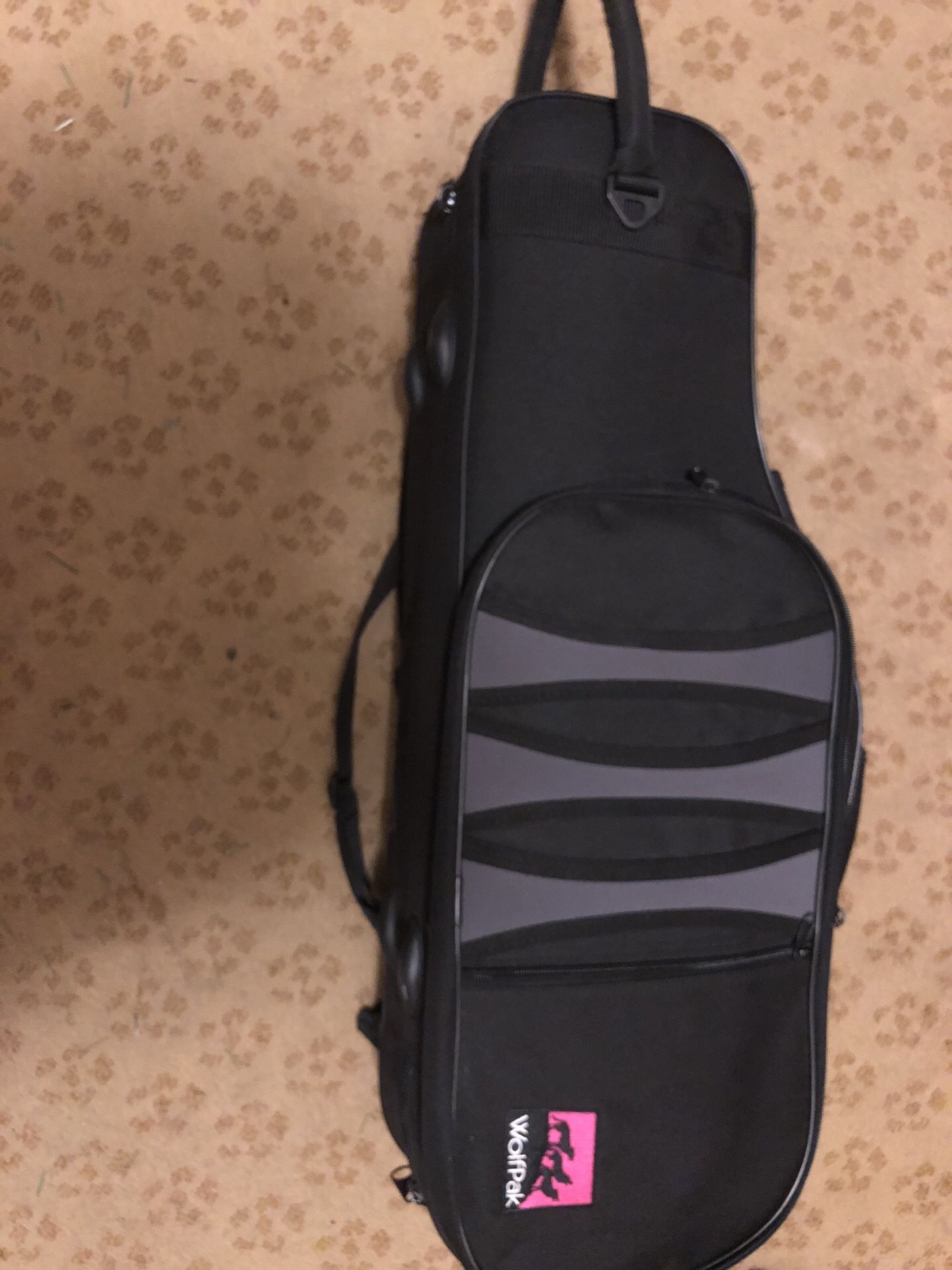 Alto saxophone case