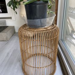 Large Boho/ Rattan Plant Stand 
