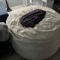 Big Bean Bag With Washable Cover FREE! 