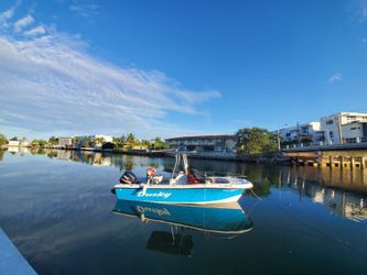 Dusky 20' Boat