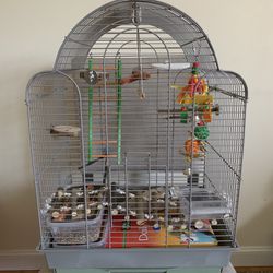 Bird Cage With All Supplies