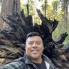 Dan  Nguyen