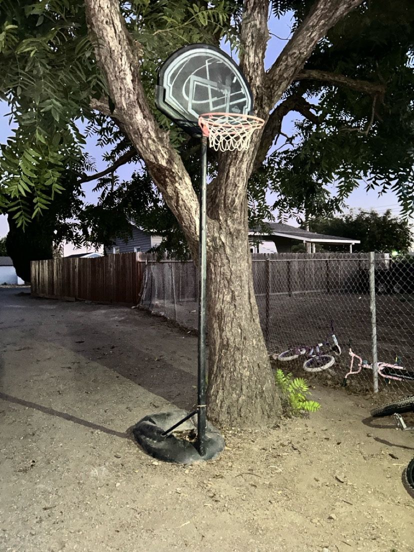 Basketball Hoop