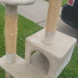 For Cats 