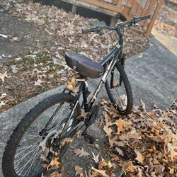 Adult Bike 
