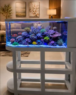 100gls All glass bullet shape with Aluminum powder coated stand