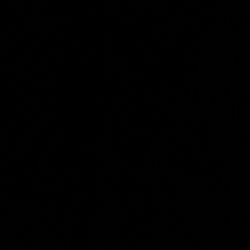 Bag Of Plus Size Clothes 