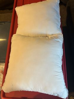 Set Pillow Insert (16 Inches) 