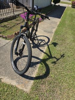 Motobecane Fantom Expert Bike