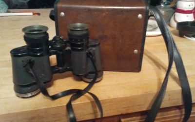 Binoculars with case