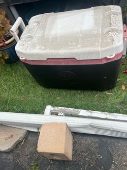 55 qt cooler