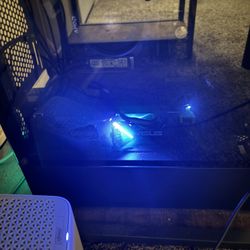 Gaming Pc And Gaming Monitor 