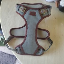 Reddy Dog Harness 