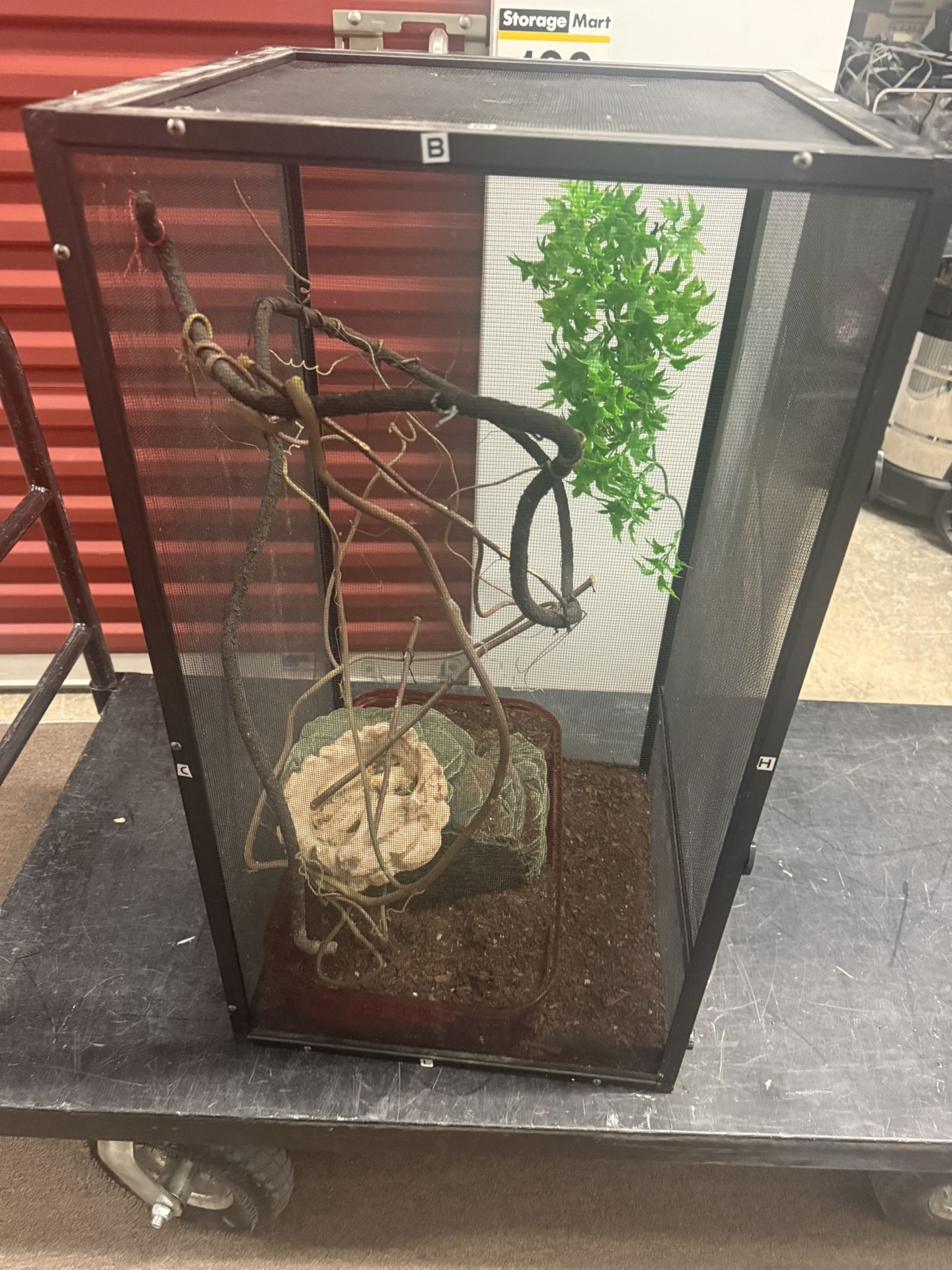Chameleon Enclosure / Cage