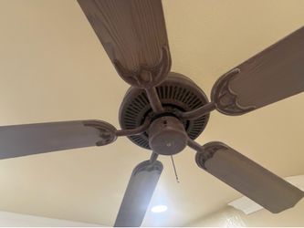 Ceiling Fan