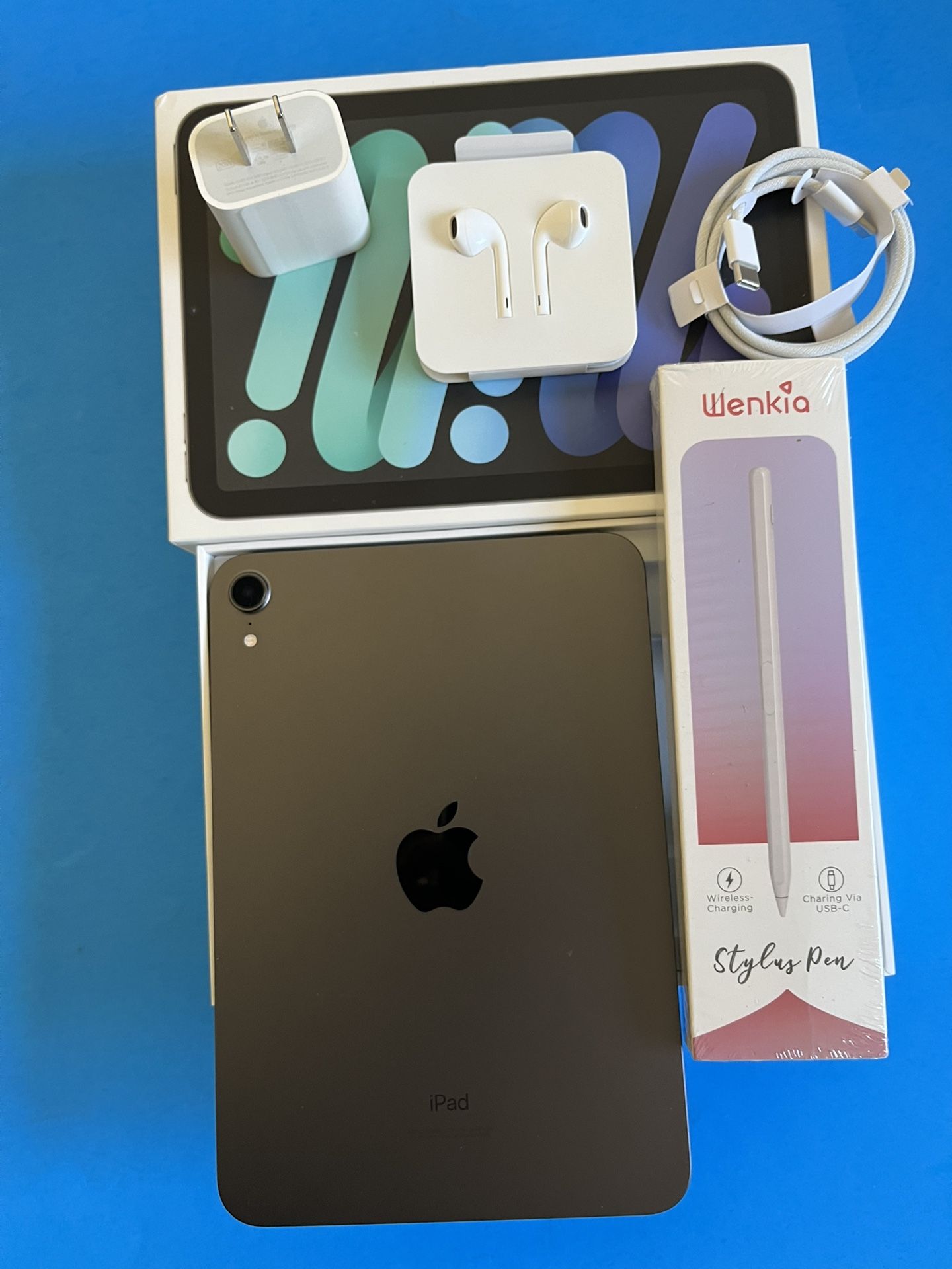 Apple iPad Mini 6th Generation (2021 Model) 64GB with Pencil