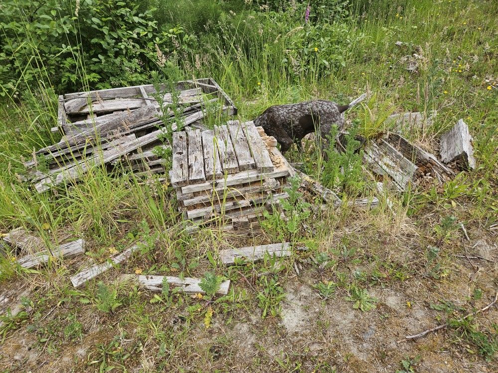 Free Scrap Wood
