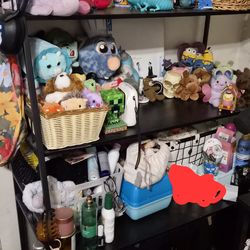 hidden litter box shelf