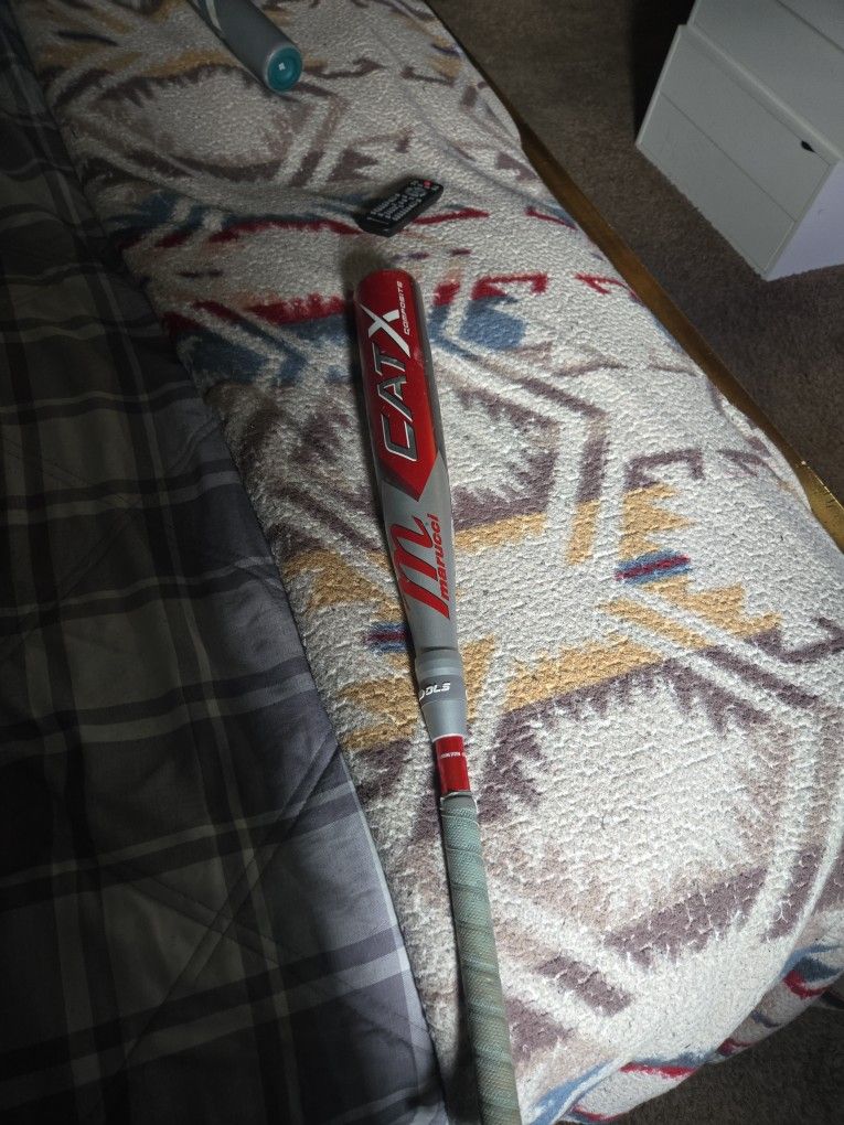 Baseball Bat