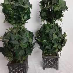 Topiarys Pair