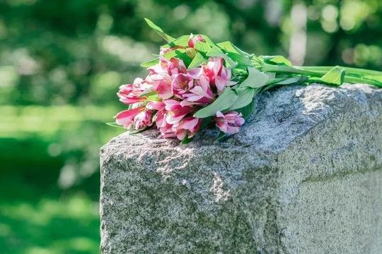 Cemetery Plot Lynnwood Washington