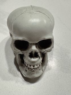Decorative Resin Skull Figurine
