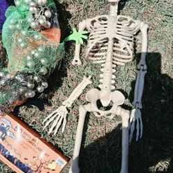 Halloween Decorations