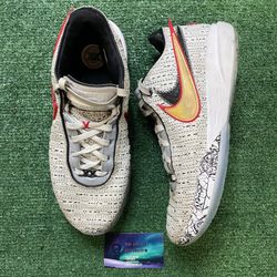 Nike LeBron 20 XX the debut size 10.5men/12women