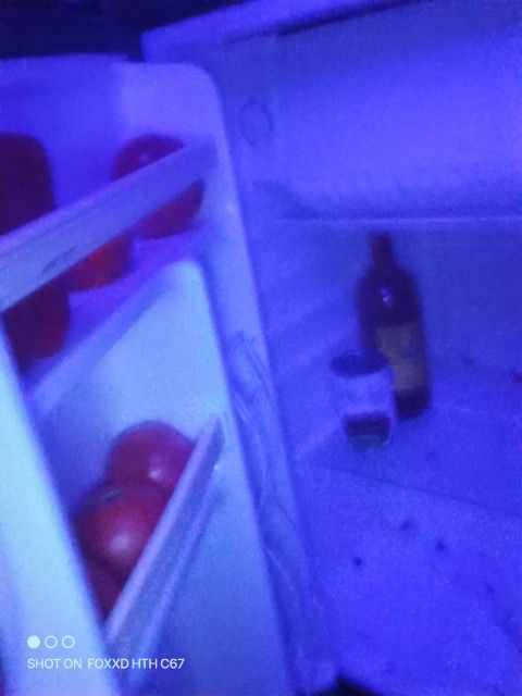 Mini Fridge