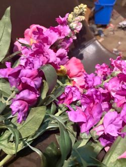 Artificial Pink and Purple Flower Stems