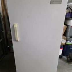 Upright Freezer 