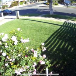 Security cameras