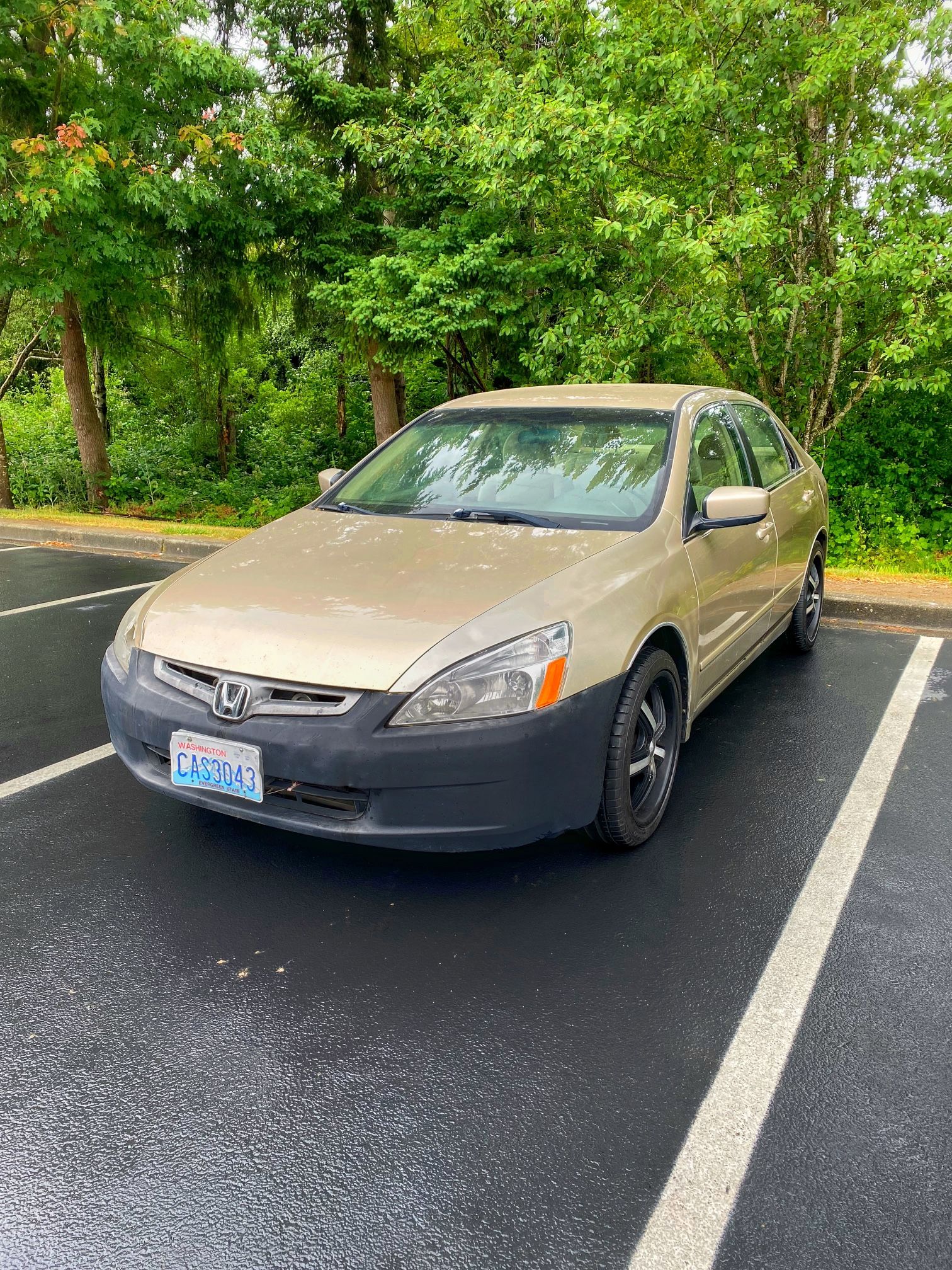 2003 Honda Accord
