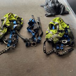 Harnesses
