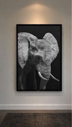 Large Format Elephant Photographic Print (24x36) with Frame