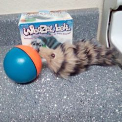 Weasel Ball For Cat Or Dog Pickup Between 2:00-10:45 Pm Rainbow/Charleston Cash Only Read Description First  