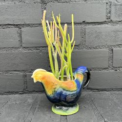 Succulents 