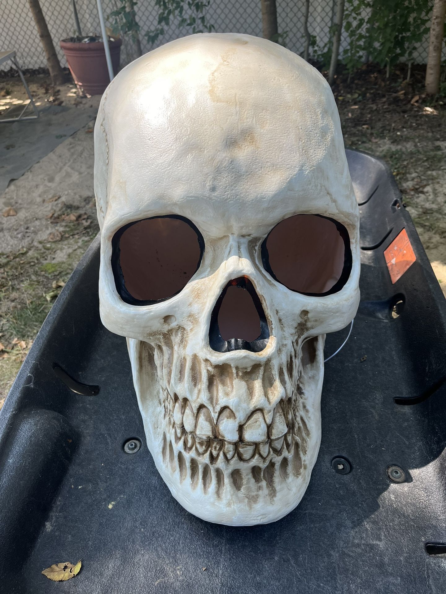 Giant Plastic Skull Head