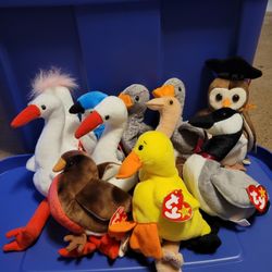 Beanie Baby Birds