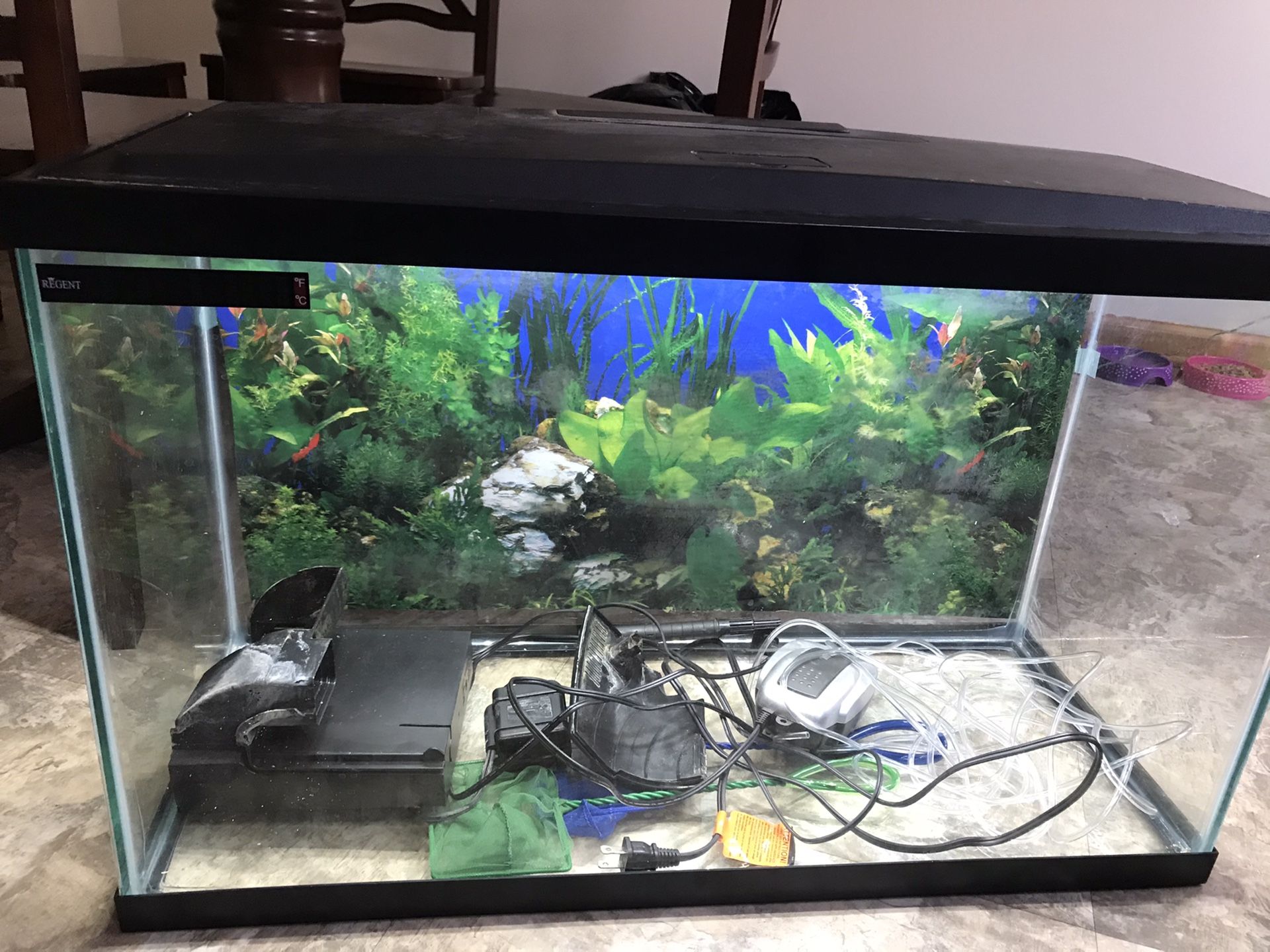 Regent 29 gal fish tank