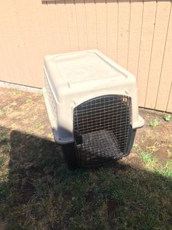 Dog Kennel 