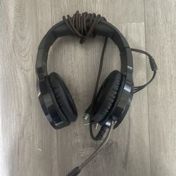 PC Mic