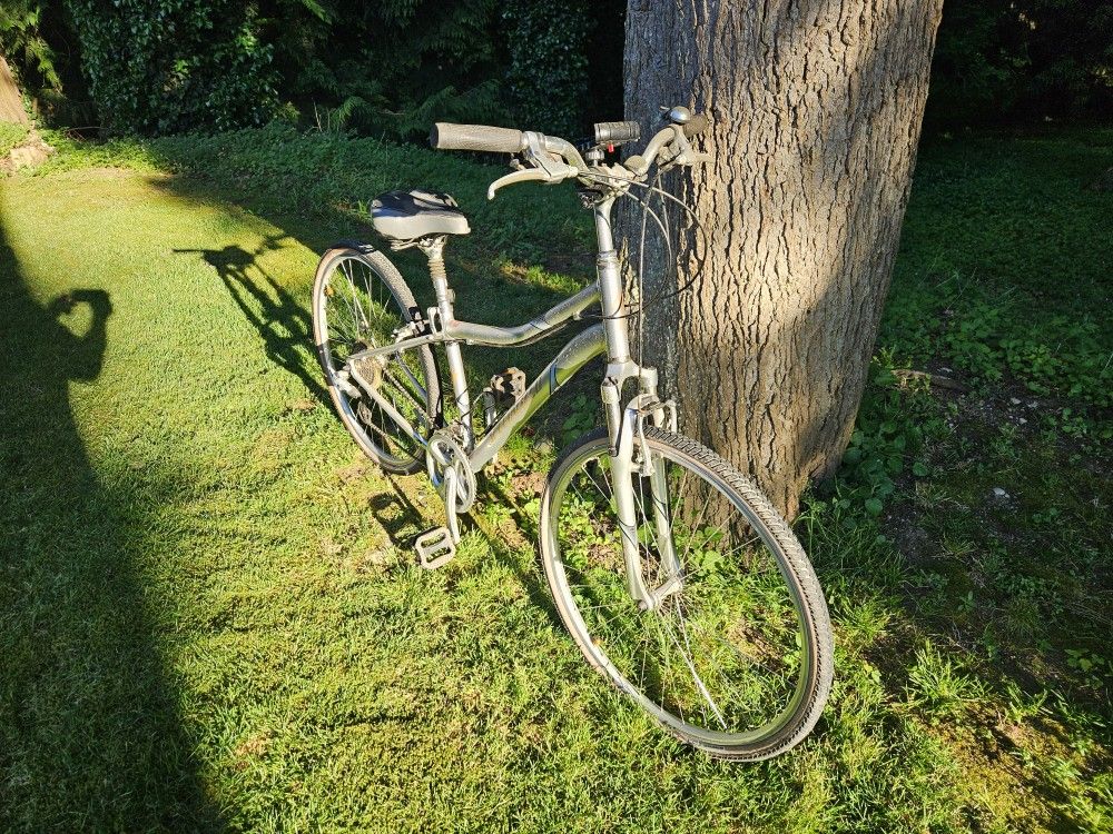 Crossroads Bike