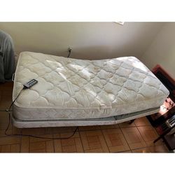 Adustable Reclining Single Bed With Remote Control 