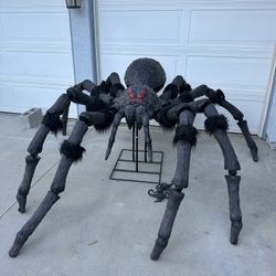 Like New Spider