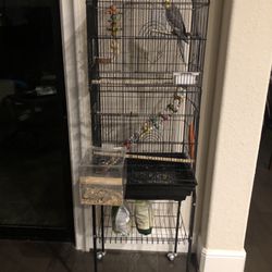 Cockatiel Bird Cage And Accessories 