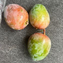 Green Mango 